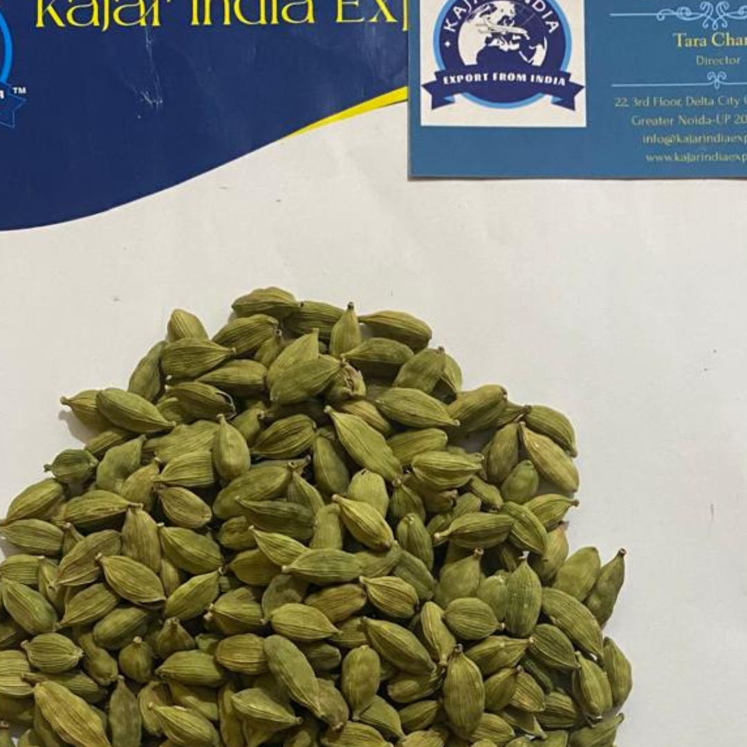 Your paragraph text (1).png